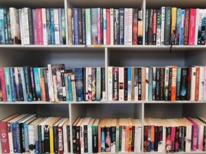 Second-hand-books-recipe-novels-and-biographies